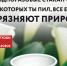 Весенние праздники продолжаются: наслаждаемся отдыхом ответственно! - Министерство соцзащиты, труда и занятости населения