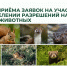 Стартует приём заявок на получение разрешений на добычу пушных животных - Госохотдепартамент Тюменской области