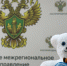Сотрудники Уральского межрегионального управления Росприроднадзора присоединились к акции "Игрушка ветерану" - Росприроднадзор