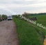 В Богородицком районе Ford улетел в кювет и перевернулся - ИА Тульская пресса.Ru