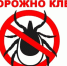 Как защититься от клеща рассказали в Роспотребнадзоре - Администрация Хабаровского района