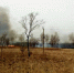 00986_1_1.jpg - GorodnaBire.Ru