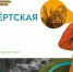 Открыта регистрация на волонтёрскую акцию на Большом острове в Благовещенске. - Благовещенский район