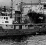Порт рыбный - ИА Nord-News.Ru