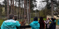 Диких животных покормили добровольцы из Армавира в кордоне Гузерипль - Армавирский Собеседник