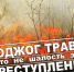 Палы сухой травы - одна из главных причин лесных пожаров!. - Емельяновский район