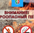 Отдел надзорной деятельности и профилактической работы по Сегежскому району напоминает о проведении месячника пожарной безопасности - Сегежский округ