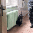 JPEG Файл - УМВД Вологодской области