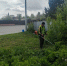 На территории Октябрьского района начались плановые работы по покосу травянистой растительности - Администрация г. Барнаул