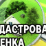 ИЗВЕЩЕНИЕ О ПРОВЕДЕНИИ ГОСУДАРСТВЕННОЙ КАДАСТРОВОЙ ОЦЕНКИ НА ТЕРРИТОРИИ БЕЛГОРОДСКОЙ ОБЛАСТИ. - Яковлевский муниципальный округ