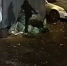 девушка избивает человека - Петрозаводск говорит