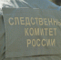 Жительница Пензы обвиняется в убийстве сожителя - Пенза-Обзор