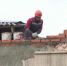 Видео - ТВН