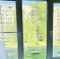 В Муроме трехлетняя девочка выпала из окна вместе с москитной сеткой - Progorod33.Ru