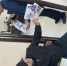 img - ЛДПР