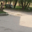 На улице Никитина возле детской поликлиники ямы заделают до конца месяца - Калужский перекрёсток
