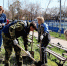 С заботой о городе: КуйбышевАзот озеленяет общественные пространства Тольятти - Волга Ньюс