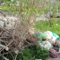 Кучи веток и мусора в Воротынске вывезут до 25 мая - Телерадиокомпания Ника