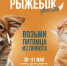 «Трогательный и добрый»: в Оренбурге пройдет благотворительный фестиваль «РыжебокФест» - Orenburg.Media
