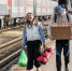 Акция «Уступи дорогу поездам!» стартовала в Белгородской области - Сетевое издание Ивня онлайн