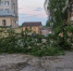 На улице Первомайской упавшее дерево убрали с прохода - Калужский перекрёсток