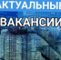 Актуальные вакансии. - Город Ровеньки