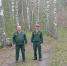 Фото: https://minleshoz.pnzreg.ru/ - Penza-Post.Ru