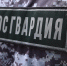 В Советском районе красноярские росгвардейцы задержали подозреваемого в краже электроинструмента - Росгвардия
