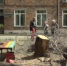 В защиту деревьев - Вести Хакасия