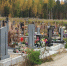 Объяснено, можно ли умереть от страха - Gubdaily.Ru
