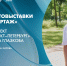 Открытие фотовыставки «Лесной репортаж» с Павлом Глазковым. Онлайн-трансляция - tvspb.ru - ТК Санкт-Петербург