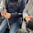 Городской транспорт, доступный для каждого - Администрация г. Калининграда