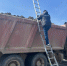 фото телеграм-канала "Эконадзор Ленобласти"/ t.me/ecology47/4273 - 47 новостей