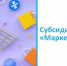 Стартовал приём заявок на получение субсидии «Маркетплейсы» - Газета Истра сегодня