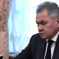 Интерфакс: Шойгу заявил, что Запад заморозил $590 миллиардов из 8 стран - ИА Общественная служба новостей