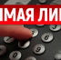 Прямая линия - Бикинский район