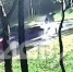 Насмерть сбивший пешехода охинец может лишиться свободы на 12 лет - News.Astv.Ru