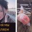 Китай vs Россия: блогер сравнила цены на овощи и фрукты в Благовещенске и Хэйхэ - Asn24.Ru