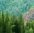 les - NeruLife.Ru