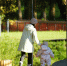 background - Cher-Poisk.Ru