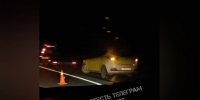 Таксист сбил лося на трассе под Тулой ночью 15 мая - ИА Тульская служба новостей
