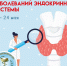 Как снизить риск развития эндокринных нарушений? - Сетевое издание Знамя 33