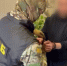 ФСБ и СК задержали южноуральцев, которые торговали персональными данными в Телеграме - 31TV.RU