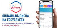 Как собственники могут получить данные о своей недвижимости на портале «Госуслуги» - Купинский район