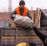 Больше 700 тонн мусора собрали участники «Города берегу»! К субботникам присоединились около 12 тысячи благовещенцев - Администрация г. Благовещенск