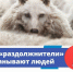 Как раздолжнители обманывают людей. - Опаринский муниципальный округ