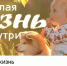 Настоящие герои существуют! - Ижевская и Удмуртская епархия