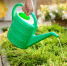 Фото:https://www.magnific.com/free-photo/young-handsome-gardener-watering-taking-care-plants-close-up_7760730 - Алтайская правда