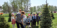 В процессе посадки - Газета Районный вестник