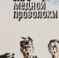 Писатель, учёный, гражданин - Библиотеки Миасса
